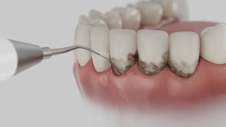 Reliable Dental contractor in McDonough County County, IL by Dentist Open Now